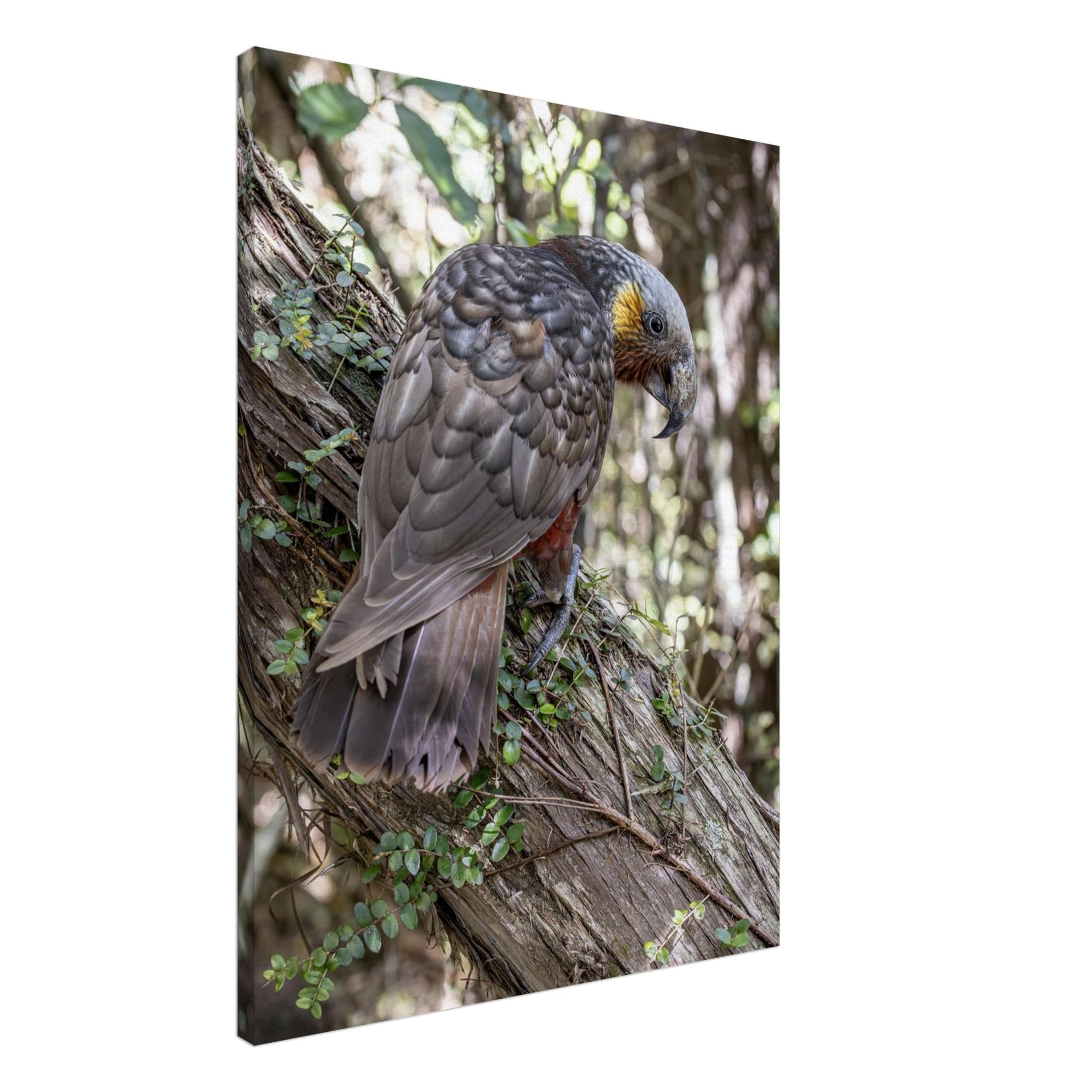 e690808e-1e14-45ab-a4a6-72ae26d5c138