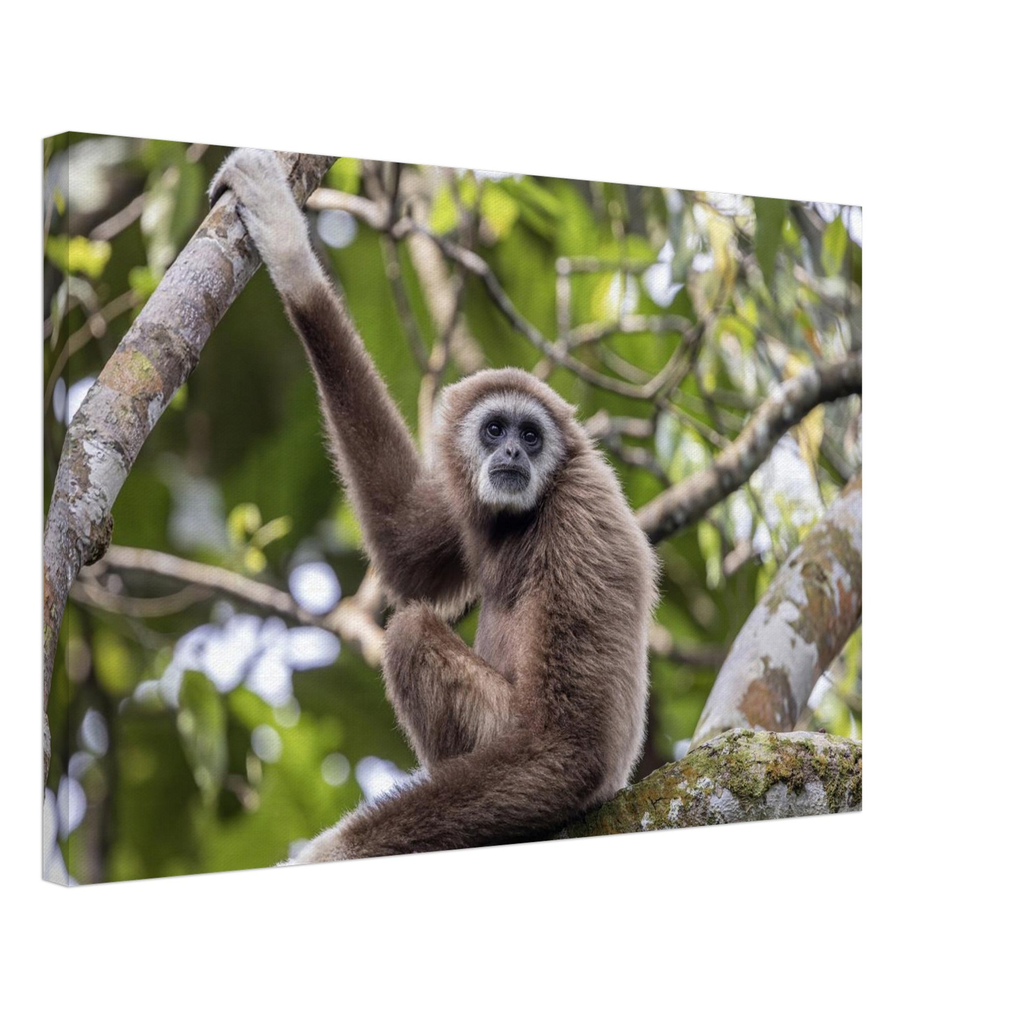 e81d62f2-e0b0-491f-9357-8071bb549f8c