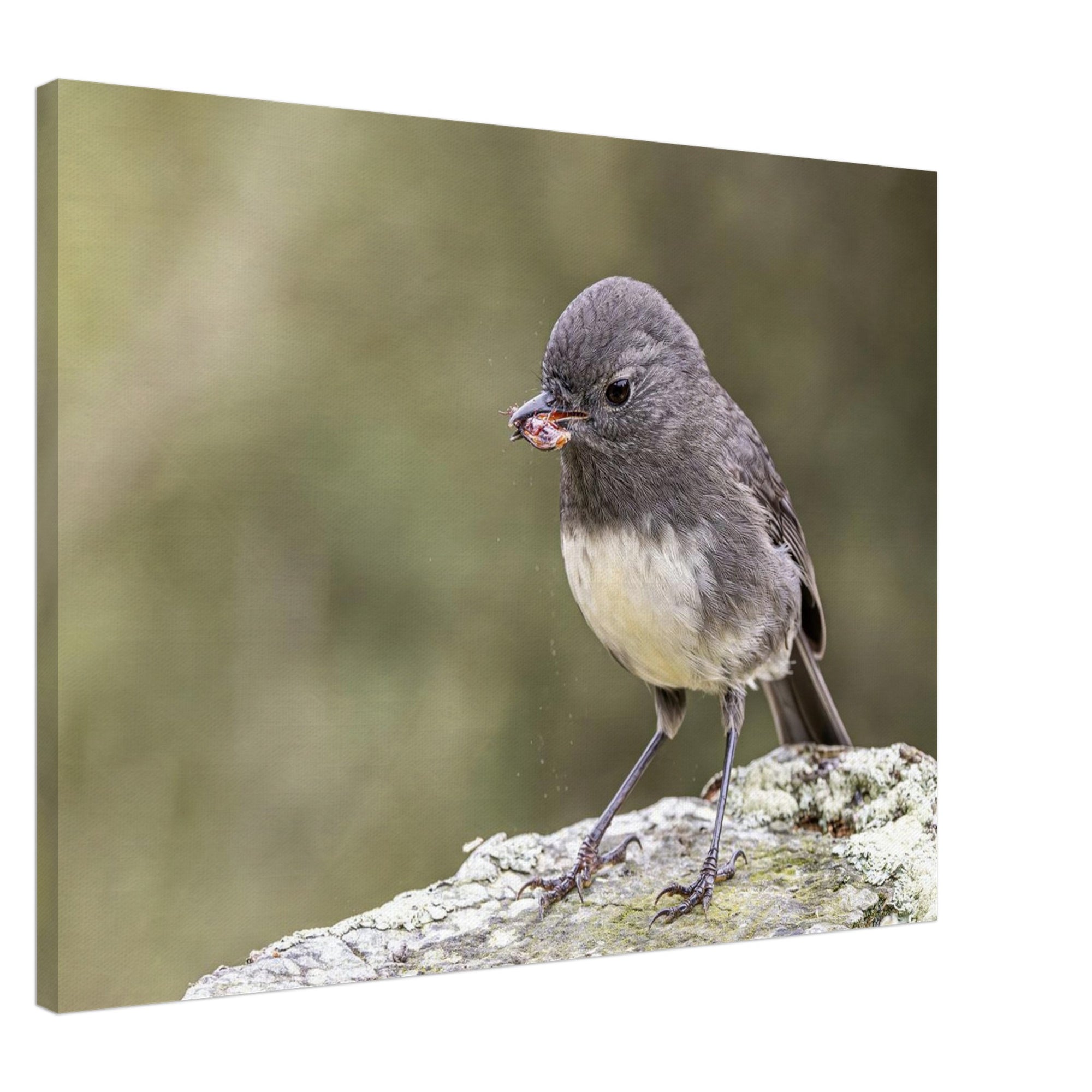 e9a8639d-c8c1-4f28-9e94-883150178c66