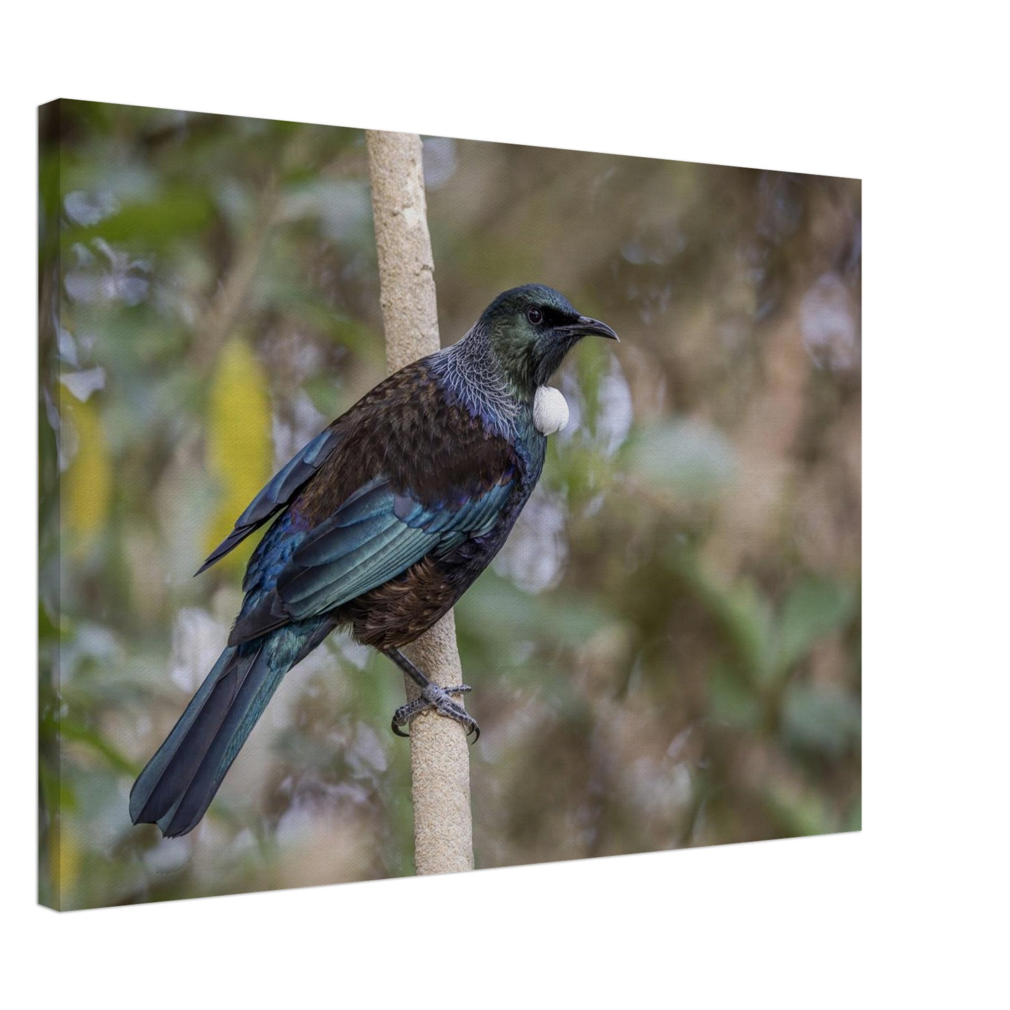 eb745cff-24a9-46cd-97ec-d6c71296f814