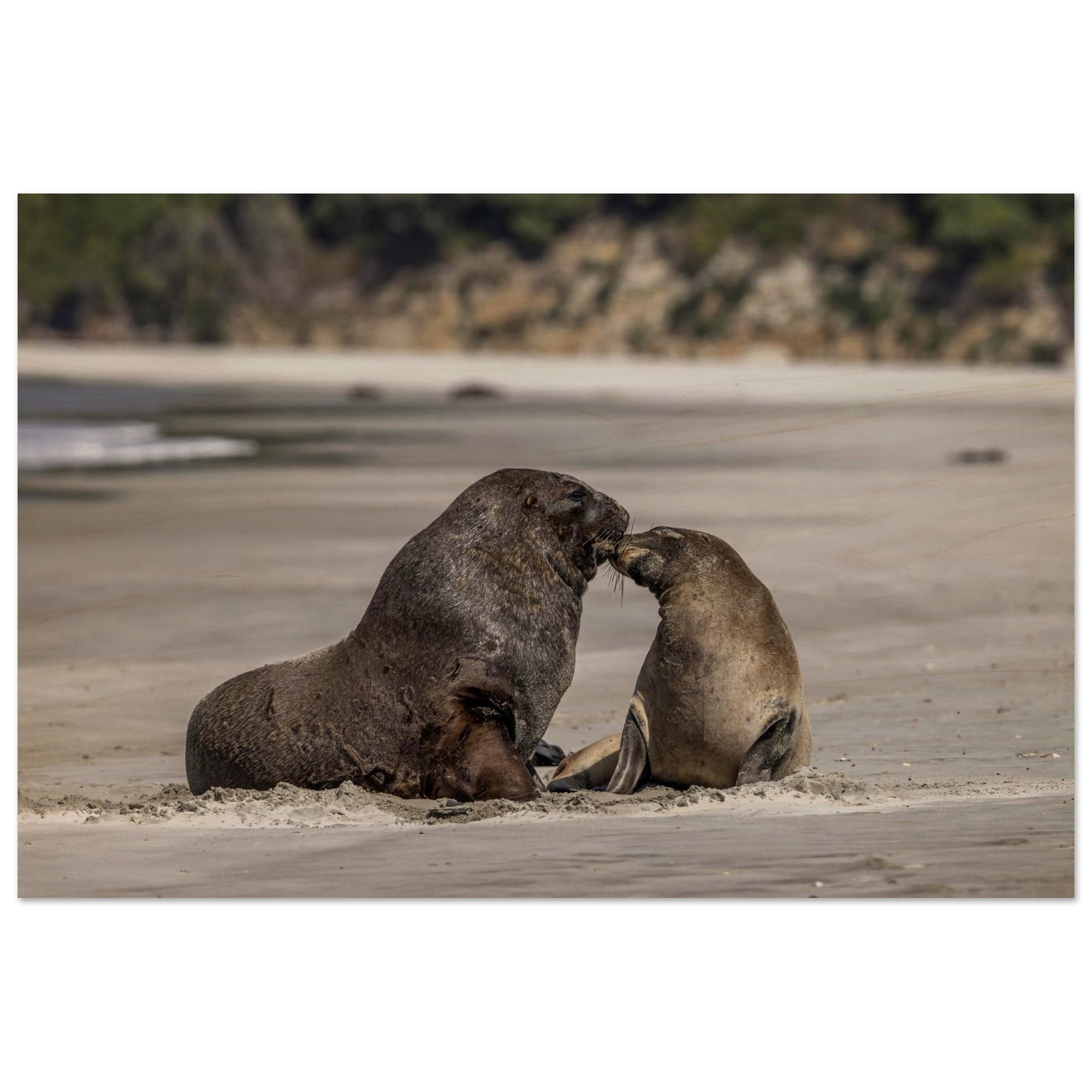 ef5ebf03-33ba-479f-ae34-3b4efdbd9765