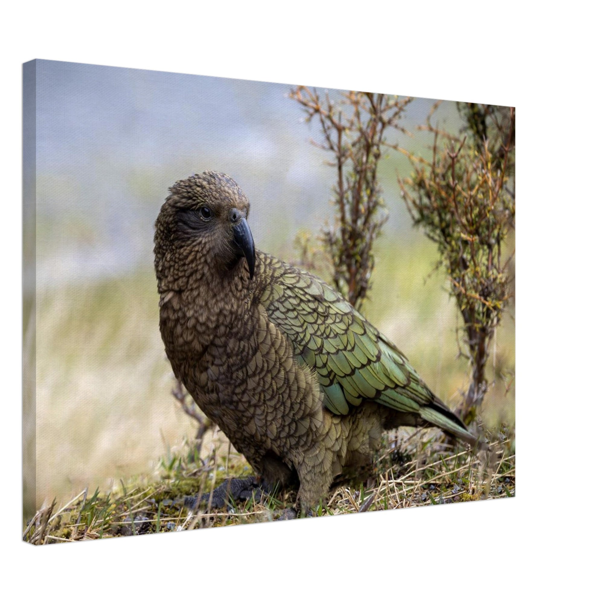 f1e9f91c-a1ba-47bf-b9cd-725be11a23d5