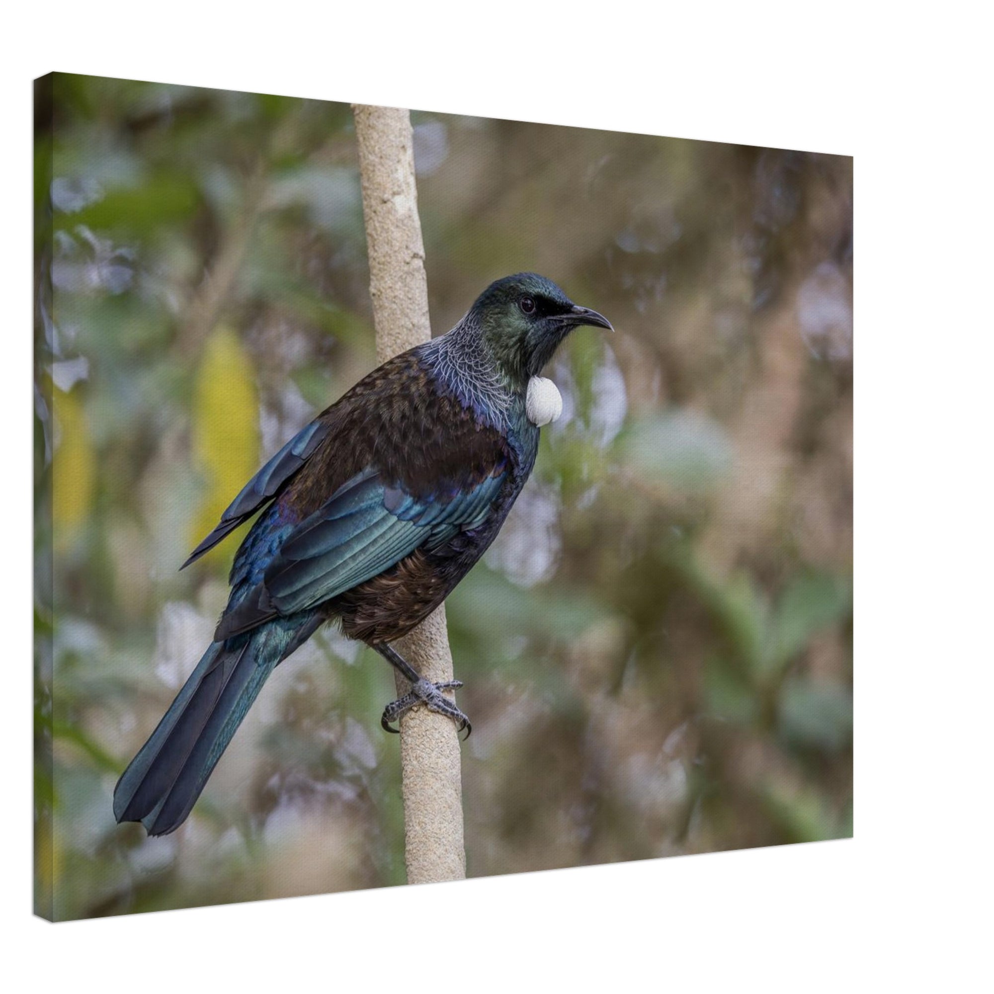 f24b89df-e763-4cd0-bcc0-667be3335163