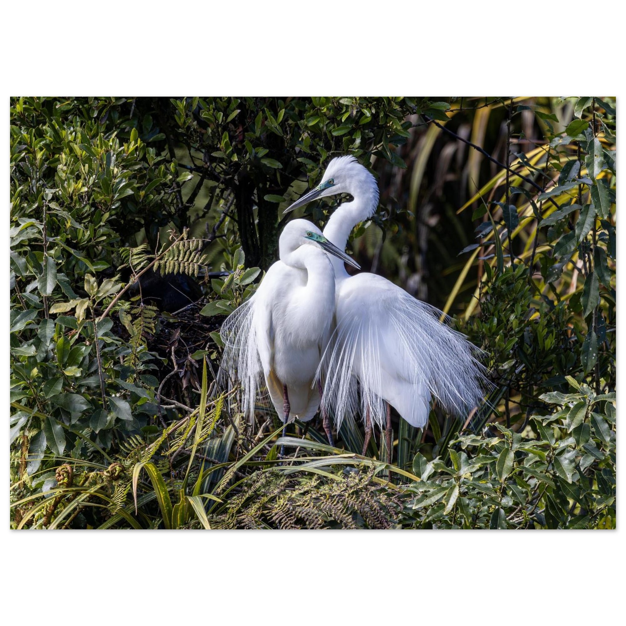 f4200a96-4f78-460b-a74d-ad039e72d349