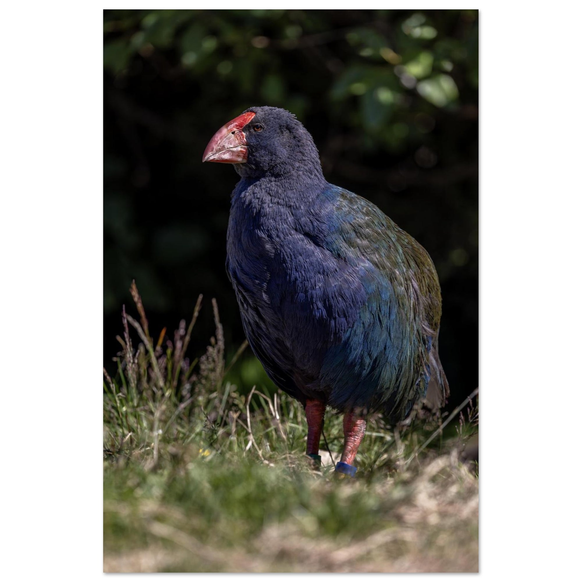 f698ab08-d738-48da-8410-0089c20e8409