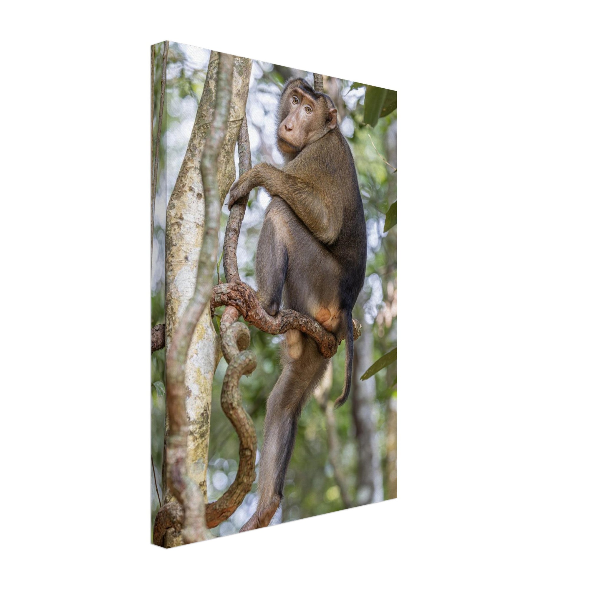 f71bc891-4c17-4121-a375-4dd61ab9549f