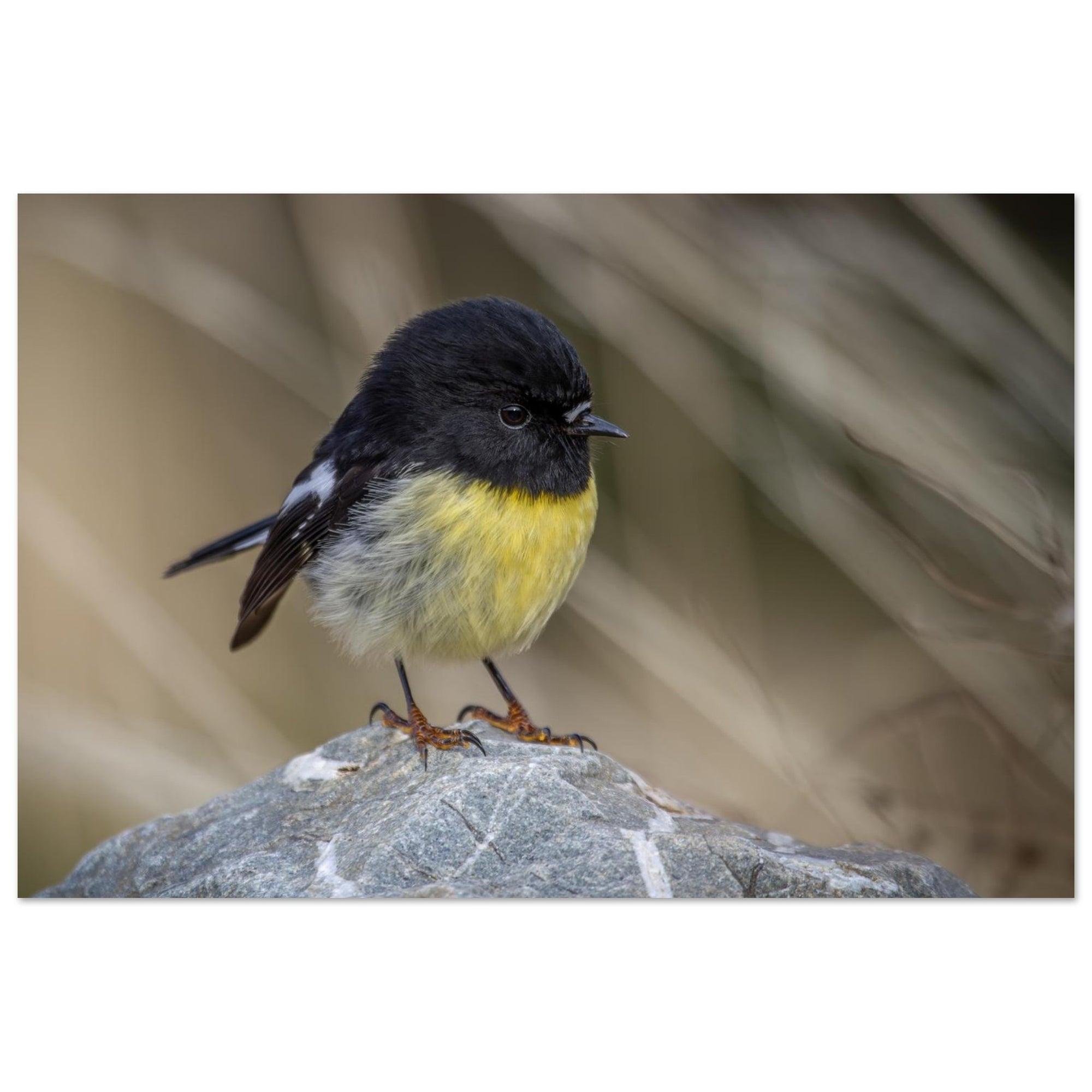 f7ba9a76-df7b-4510-9bbc-a85a56621110