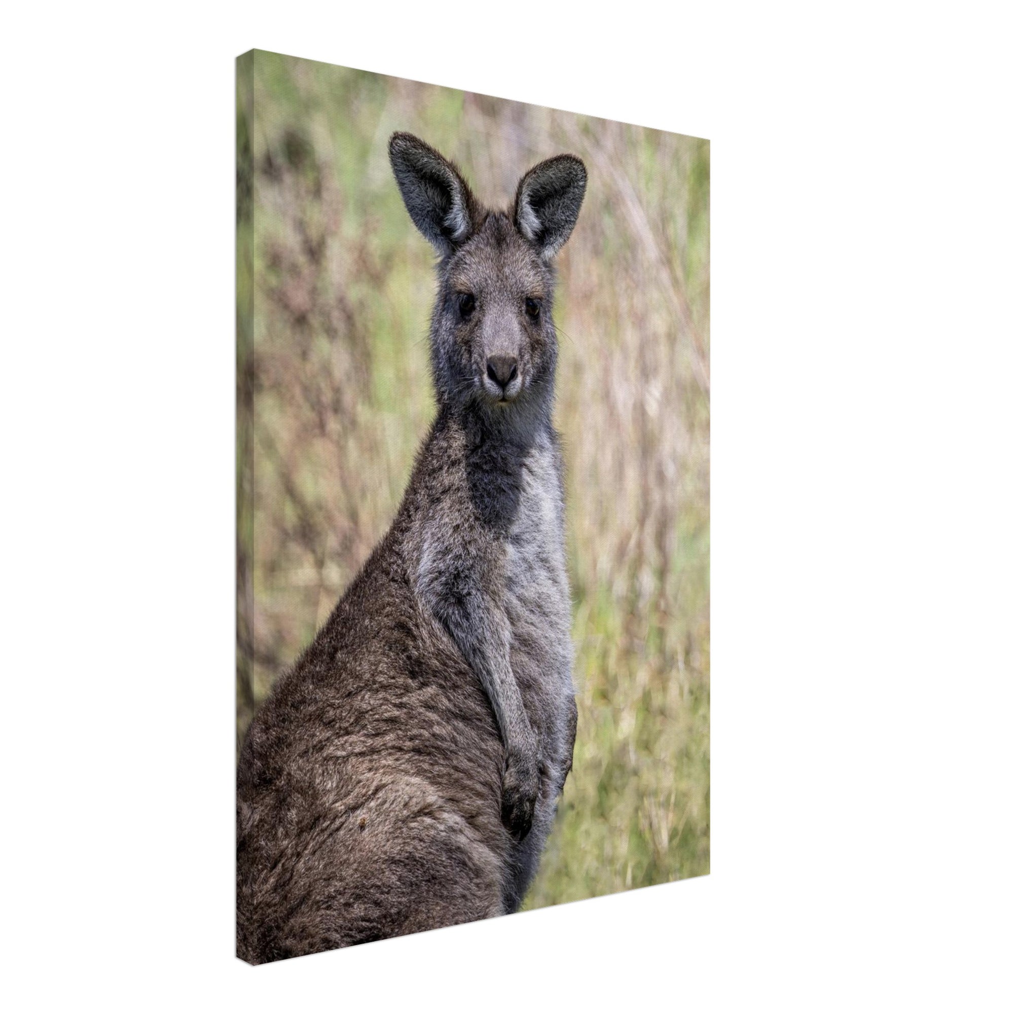 f8a4a482-e483-4cef-ad0b-1b0a6c740a99