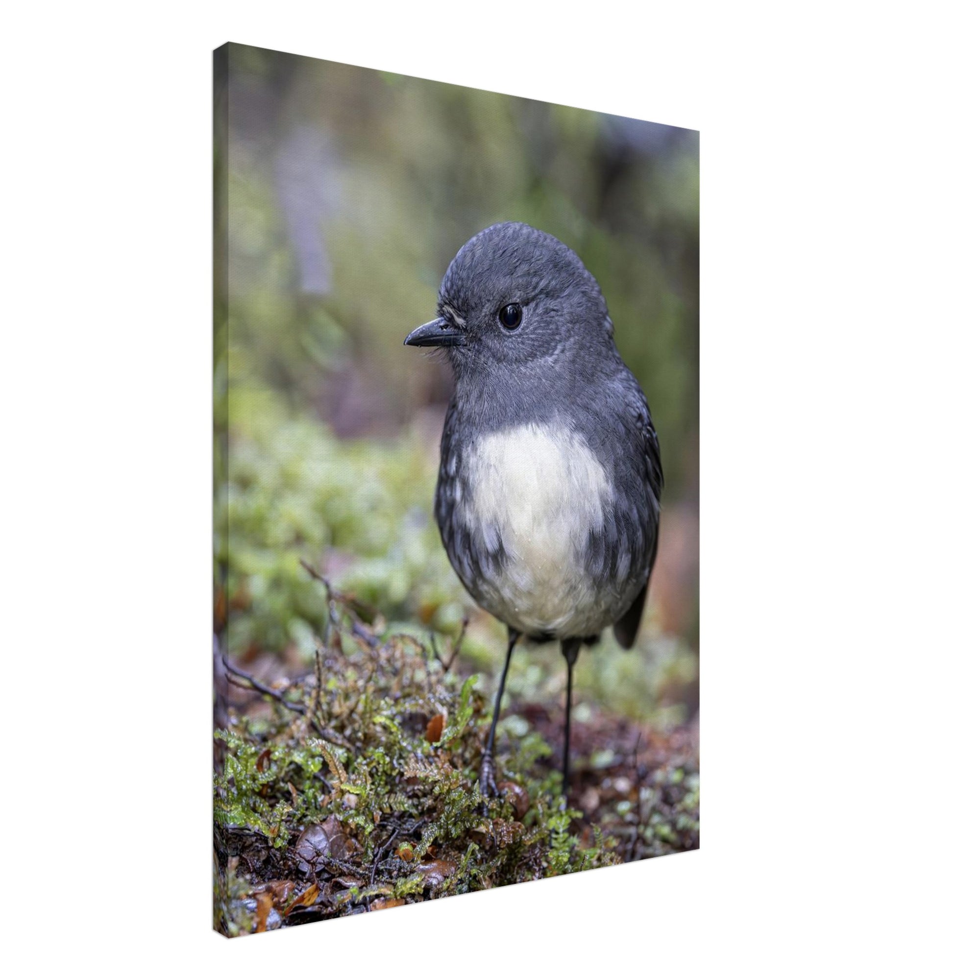 f8b2e1d8-54cf-4f6e-ac88-8876ef4a7145