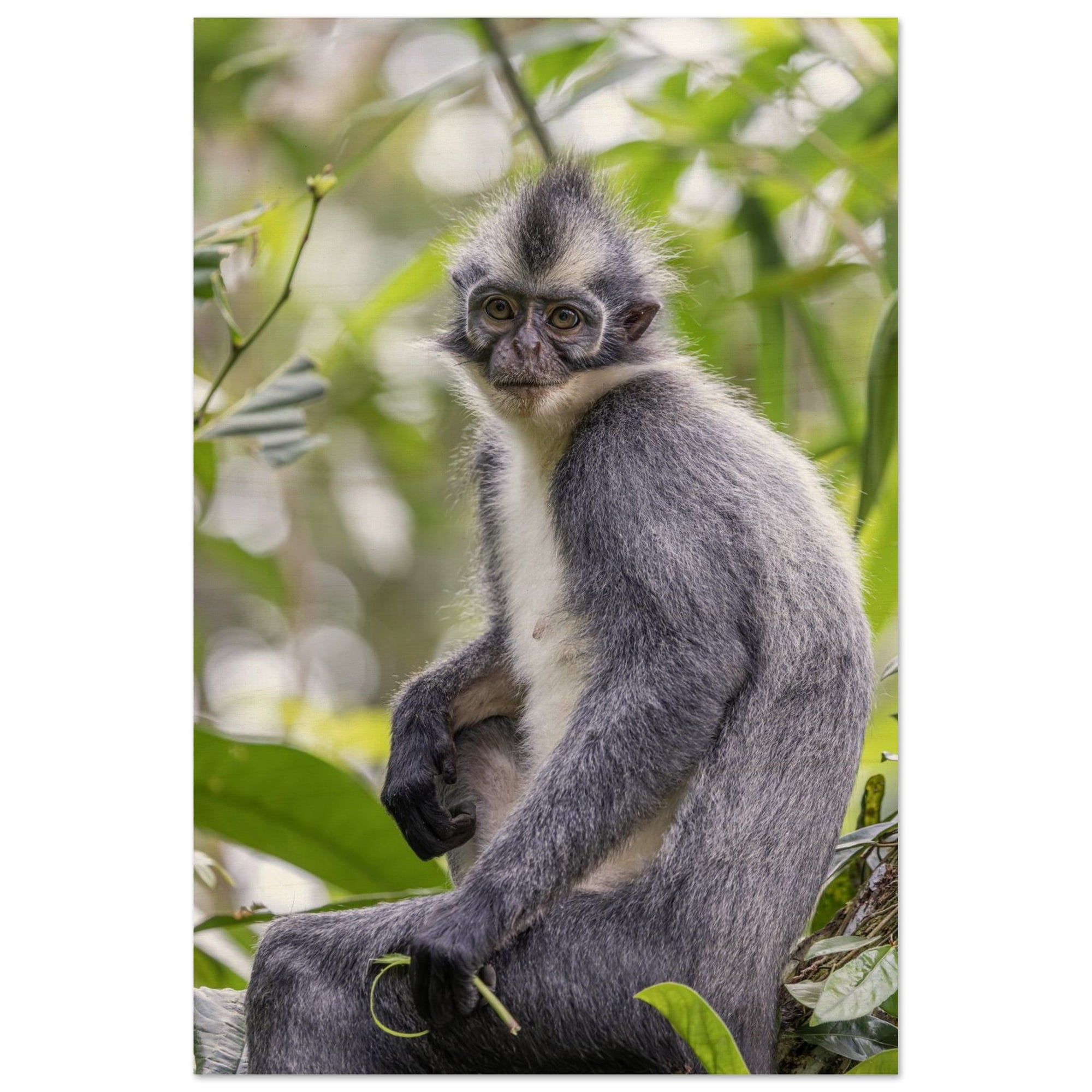 fb58a6b1-33bc-483d-aaec-9e68823e5929